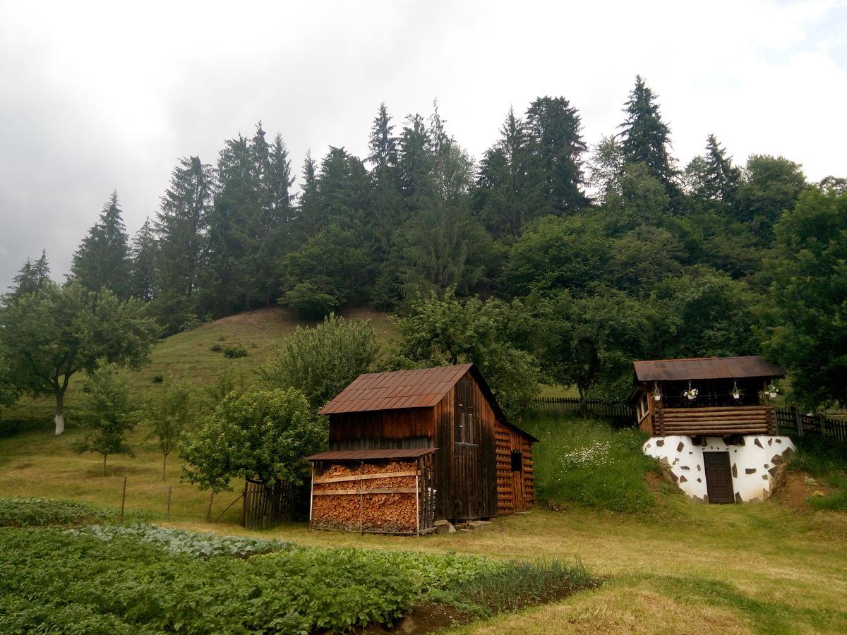 Pid Lisochkom Verkhovyna Exterior foto